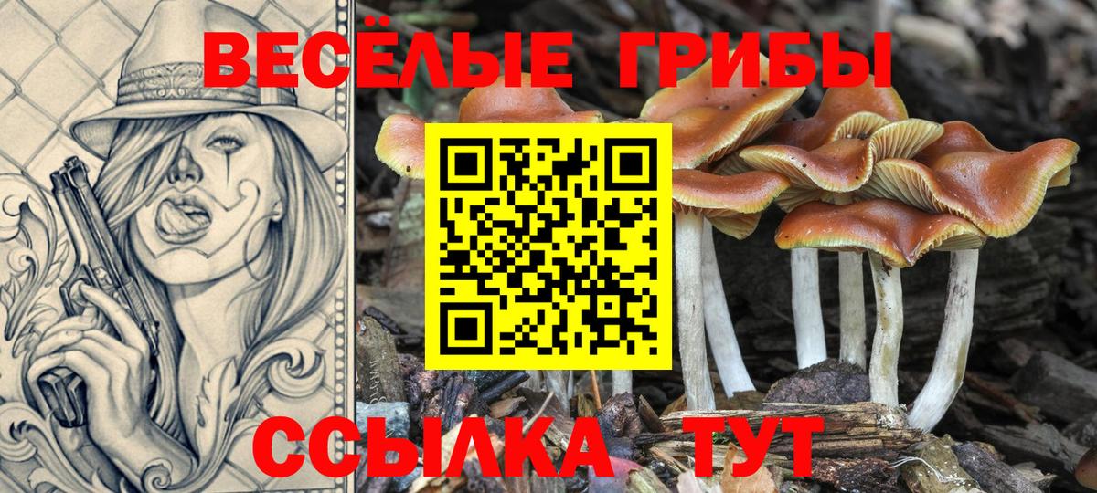 Галлюциногенные грибы прущие грибы Туапсе